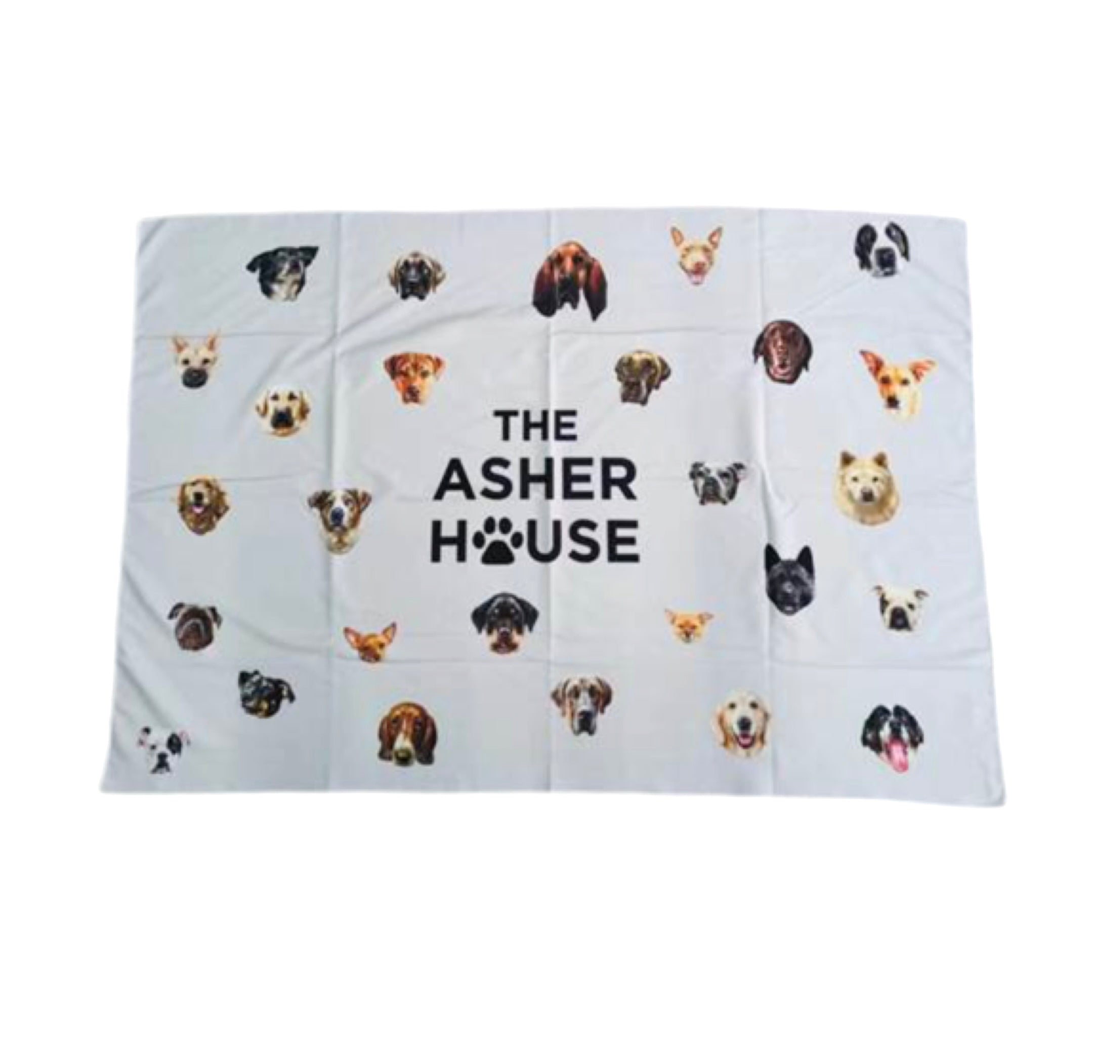 The Asher House Beach Towel