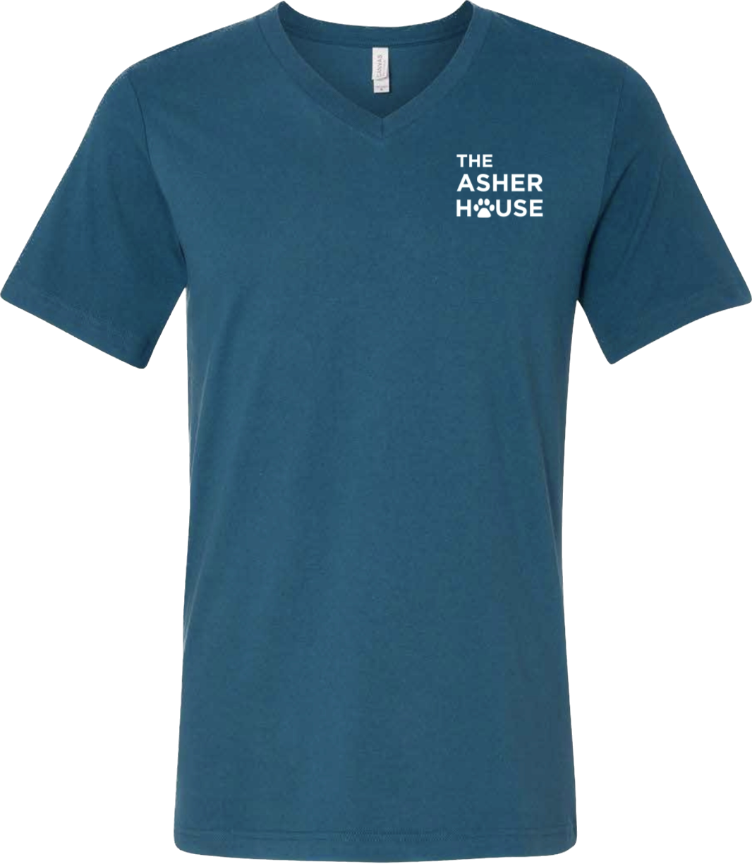 The Asher House Unisex V-Neck T-Shirt - 4 Colors