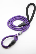 Load image into Gallery viewer, The Asher House Leash - 5 Colors
