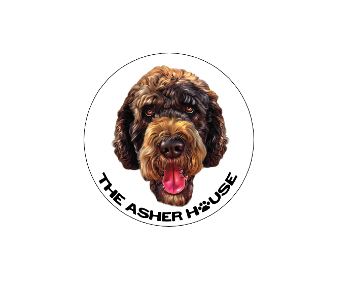 The Asher House Individual Pack Member Magnet