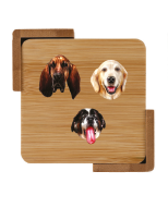 The Asher House Coasters- Set of 4