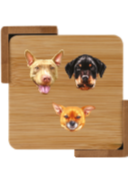 The Asher House Coasters- Set of 4