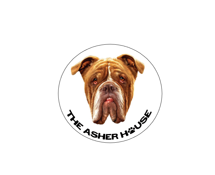 The Asher House Individual Pack Member Magnet