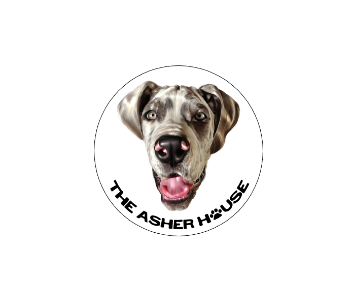 The Asher House Individual Pack Member Magnet