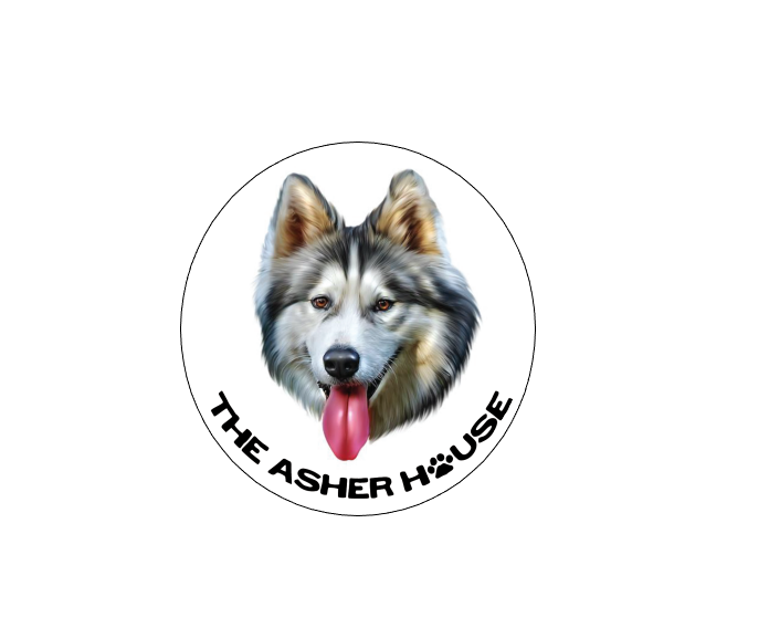 The Asher House Individual Pack Member Magnet